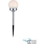 Paul Neuhaus PILO-SOL 19104-16 reflektor ogrodowy solarny 1x0,06W/LED 6lm 3000k ip44