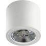 AZzardo ALIX 230V AZ3541 downlight natynkowy 1x50W/ES111/GU10 IP20 