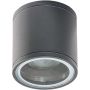 AZzardo JOE AZ3313 downlight natynkowy 1x35W/GU10 IP54 