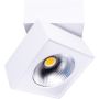 Maxlight ARTU C0106 downlight natynkowy 1x15W/LED IP20 3000K