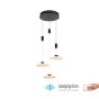 Paul Neuhaus LAUTADA 2082-18 lampa wisząca 3x7,5W/LED IP20 3000K 1800lm
