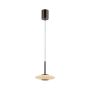 Paul Neuhaus PURE VITRUM 2053-34 lampa wisząca 2x10W/LED 2700K IP20 530lm