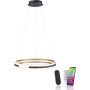Paul Neuhaus Q-BELUGA 2051-60 lampa wisząca 1x62W/LED 6900lm 2700-5000k ip20