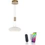 Paul Neuhaus Q-ETIENNE 2075-60 lampa wisząca 2x38,5W/LED 4350lm 2700-5000k ip20