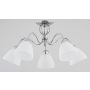 Alfa ARIEL 22605 lampa sufitowa 5x60W/E27  