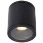 Lucide AVEN 22962/01/30 donwlight natynkowy 1x50w/gu10   ip65