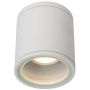 Lucide AVEN 22962/01/31 donwlight natynkowy 1x50w/gu10   ip65