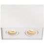 Lucide TUBE 22953/02/31 downlight natynkowy 2x50w/gu10   ip20