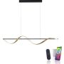 Paul Neuhaus Q-SWING 2385-13 lampa wisząca 1x28W/LED 3100lm 2700-5000k ip20