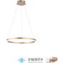 Paul Neuhaus TITUS 2382-60 lampa wisząca 1x44W/LED 5250lm 3000k ip20