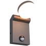 Trio ADOUR - CZUJNIK RUCHU 245569142 245569142 kinkiet 1x10w/led 1000lm 2300+3000+4000k ip44