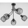 Alfa PLENA 25835 lampa sufitowa 5x60W/E27  