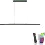 Paul Neuhaus Q-ARIAN 2569-13 lampa wisząca 4x55W/LED 5520lm 2700-5000k ip20