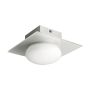 Prezent CUSCO 25098 plafon sufitowy 1x33W/G9 IP44