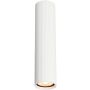 Italux Rilok CLN-83920-L-WH downlight natynkowy 1x10W/GU10   IP20
