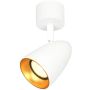 Italux Tino SPL-36748-1R-WH-GD spot 1x10W/GU10   IP20