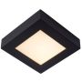 Lucide BRICE-LED 28117/17/30 lampa sufitowa 1x15w/led 800lm 3000k ip44