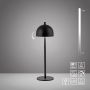 Paul Neuhaus BELLIS 19244-18 lampka stołowa 1x2,5W/LED 189lm 3000k ip54