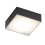 Antigo Tottori 8577 downlight natynkowy 1x10W/LED 4000K IP44