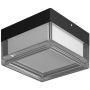 Italux Nefis PLF-53628-BK lampa sufitowa 1x9W/LED   IP65