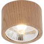 Zuma line OAK 3010103 downlight natynkowy 1x15W/GU10 Es111 230V IP20