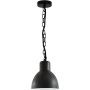 Polux ARNE 311924 lampa wisząca 1x10W/E27 IP44 