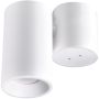 Polux HOBRO 315397 downlight natynkowy 1x10W/GU10 IP20 