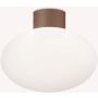 Ideal Lux CLIO 326795 lampa sufitowa 1x42W/E27   ip44