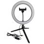 Polux SELFIE 327604 lampka biurkowa 1x10W/LED 240lm 2700K-4000K-6500K IP20