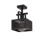 Sigma Lighting ALBERT 32178 lampa sufitowa 1x60W/E27  
