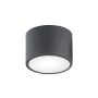 Argon VICHY 3886 Plafon sufitowy 1x10W/LED 3000K