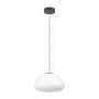 Eglo BALMES 390201 lampa wiszaca 1x40W/E27  IP20
