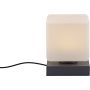 Paul Neuhaus DADOA 4036-13 lampka stołowa 1x7W/LED 580lm 3000k ip20