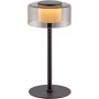 Paul Neuhaus RIKA 4110-18 lampka stołowa 1x9W/led 980lm 3000k ip20
