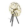 Eglo CASTANUELO 43808 lampa stołowa 1x40W/E27 IP20