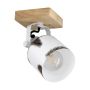 EGLO KILBURN 43921 spot 1x40W/E27 IP20