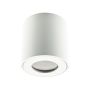 Prezent ALMAN IP I. 48620 downlight 1x35W/GU10 IP20