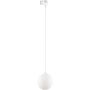 TK Lighting TRACER 4886 reflektor szynowy 1x8W/G9 IP20
