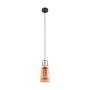 Eglo FRAMPTON 49153  lampa wisząca 1x60W/E27  IP20