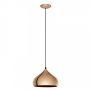 Eglo HAPTON 49449 lampa wisząca 1x60W/E27 
