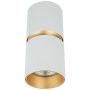 Zambelis CEILING SPOT S161 downlight natynkowy 1x40w/GU10   IP20