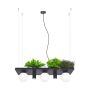 Zuma Line Orbit 5555 lampa wisząca 5x40W/3xE14|2xGU10  IP20