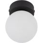 TK Lighting Mini 5613 lampa sufitowa 1x6W/G9 IP20