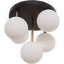 Zuma line ALI 5645 lampa sufitowa 5x40W/G9 230V IP20