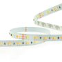 Zambelis LED STRIP LS06 taśma led 24W/m   IP20