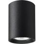 Alfa ARTEMIS 59021 downlight natynkowy 1x10W/GU10   