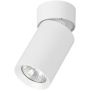 Alfa FLEX 59026 downlight natynkowy 1x10W/GU10   