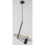 Alfa CG 02 60749 lampa wisząca 1x60W/E27  
