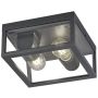 Trio GARONNE 601860242 lampa sufitowa 2x10w/e27   ip44