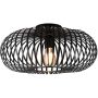Trio JOHANN 606900132 lampa sufitowa 1x60w/e27   ip20